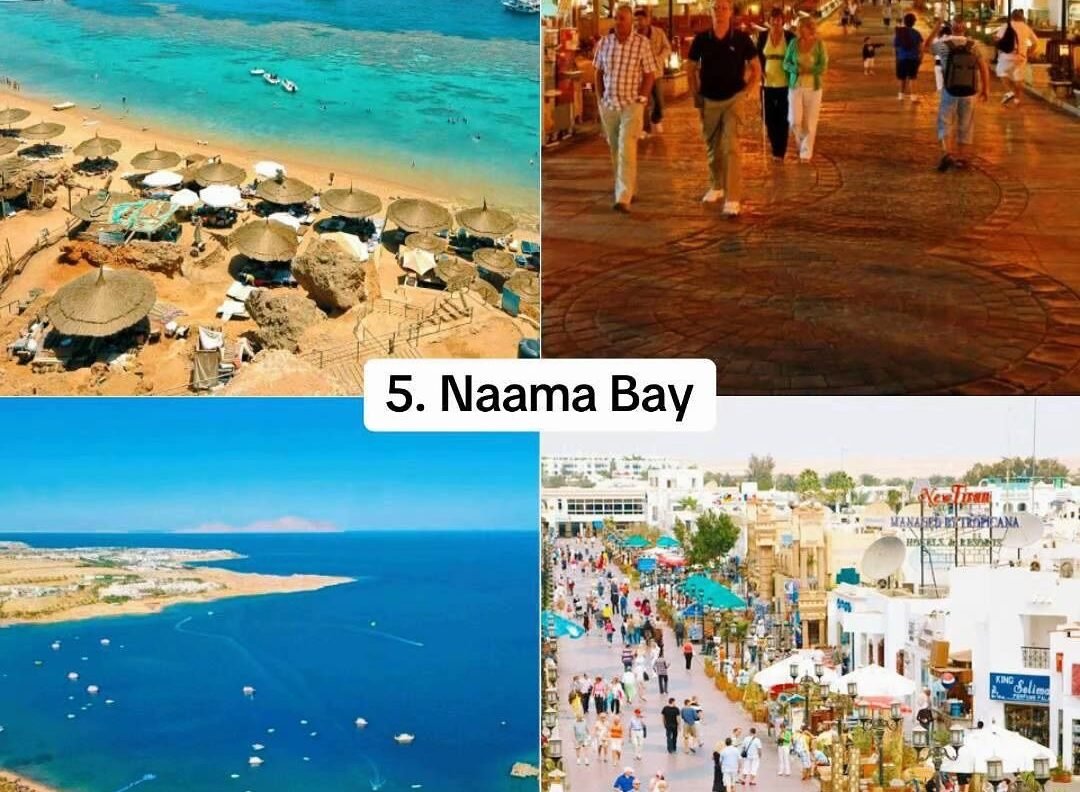 🇪🇬 Şeyma Bilir ile VIP Shakira Konseri | Kahire & Sharm El Sheikh Turu - Görsel 16